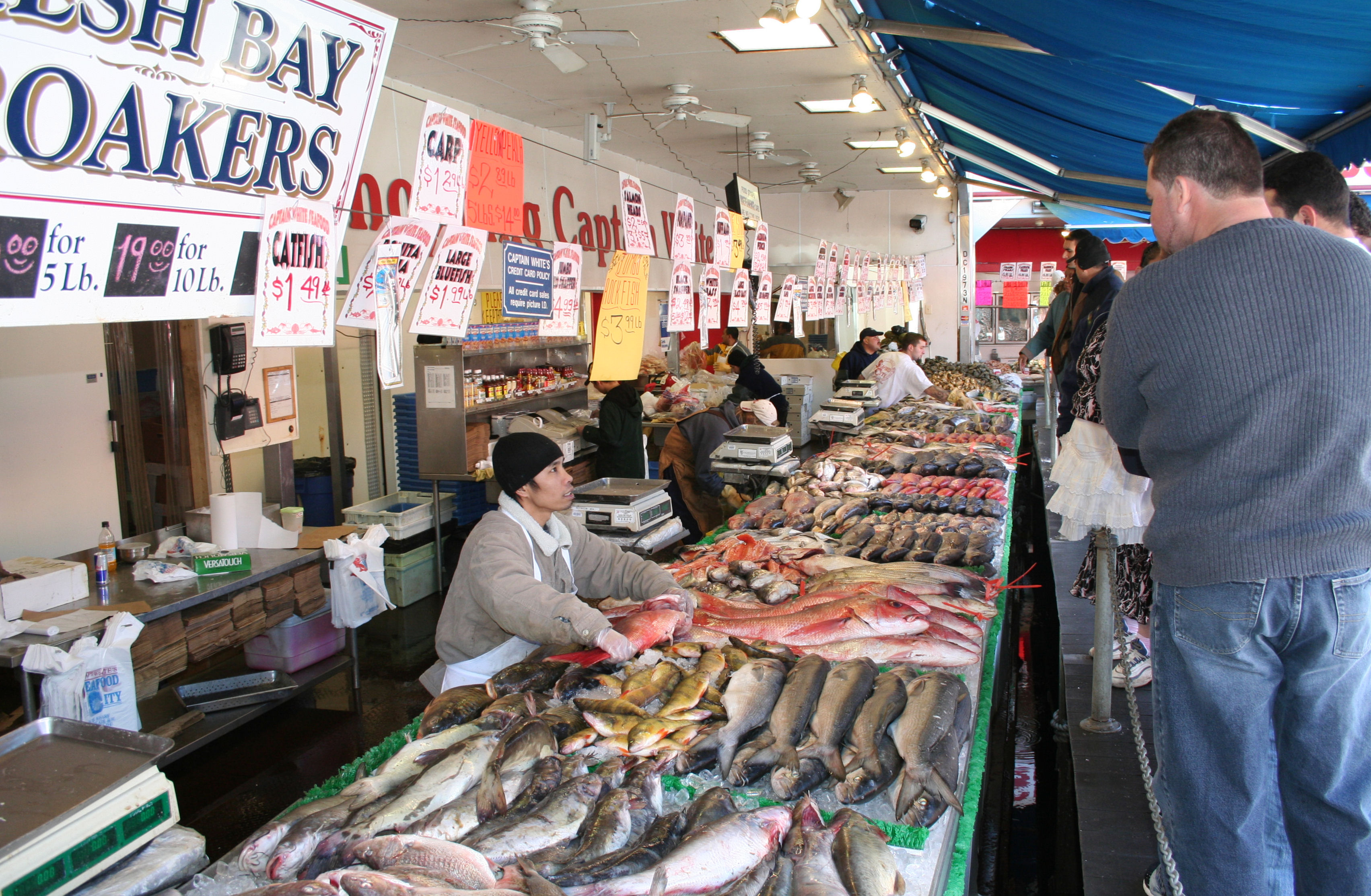 fish_market